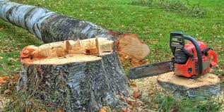 Best Utility Line Clearance  in Vineyard, CA